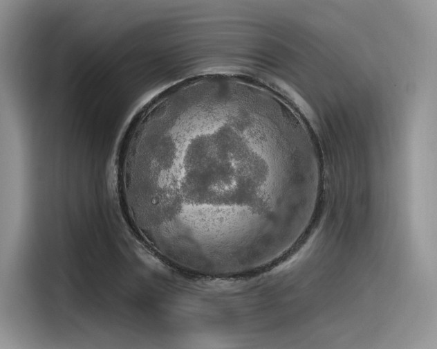 X0000115490779200911131235