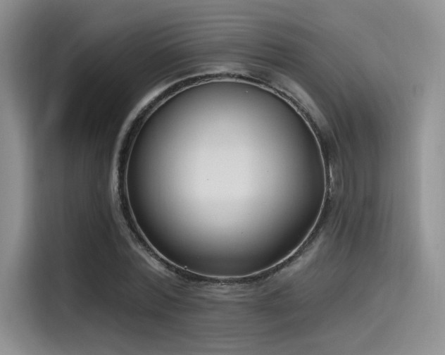 X0000115490780200911131235