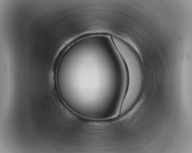 X0000115490781200911131235