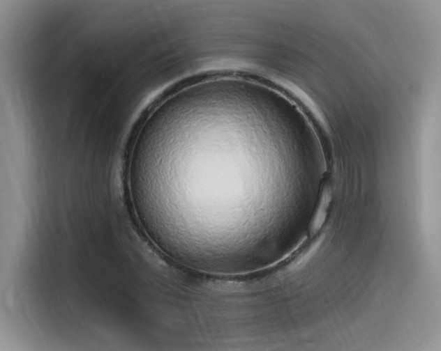 X0000115490783200911131234