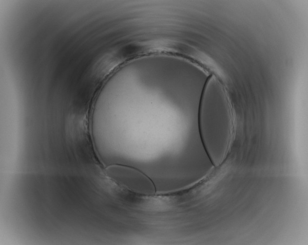 X0000115490785200911131234