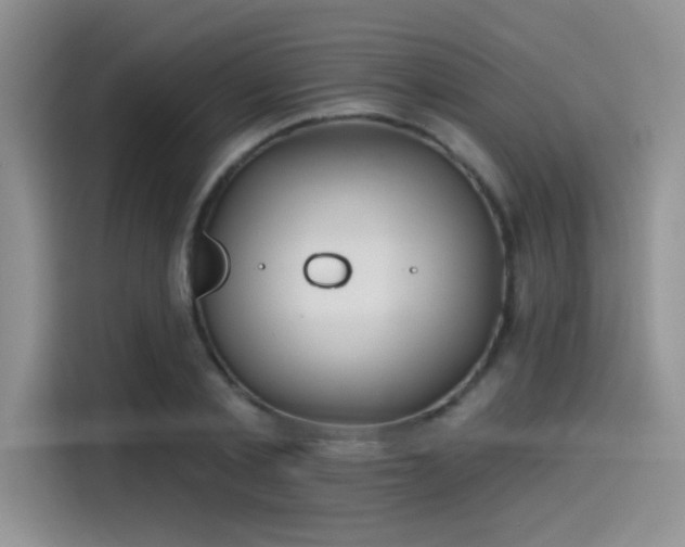 X0000115490789200911131234