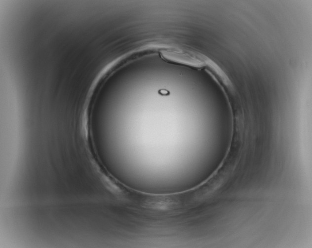 X0000115490791200911131234