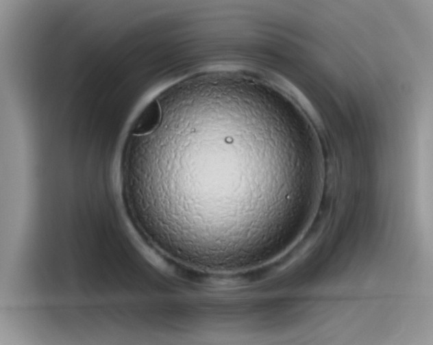 X0000115490795200911131234