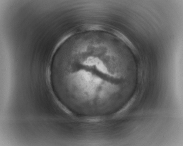 X0000115490798200911131234