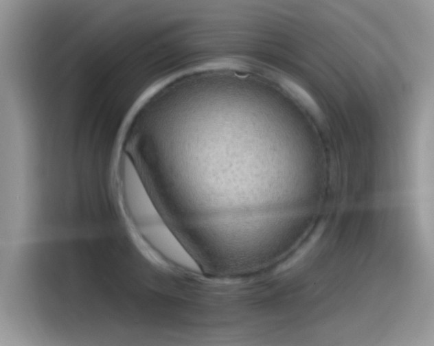 X0000115490800200911131234