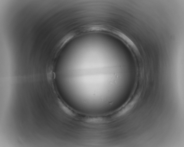 X0000115490801200911131234
