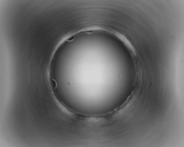 X0000115490805200911131234