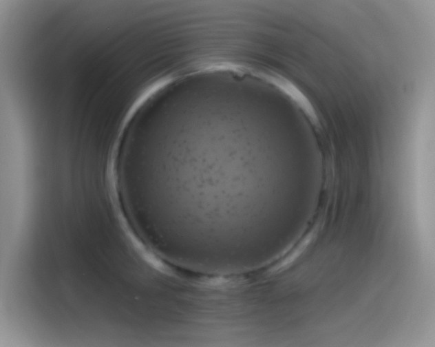 X0000115490806200911131234