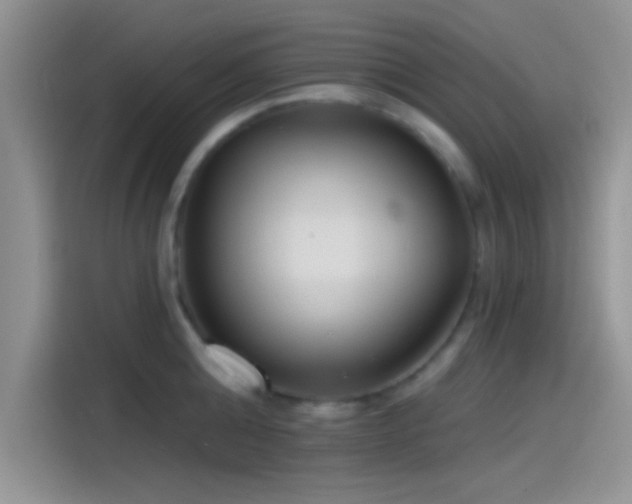 X0000115490808200911131234