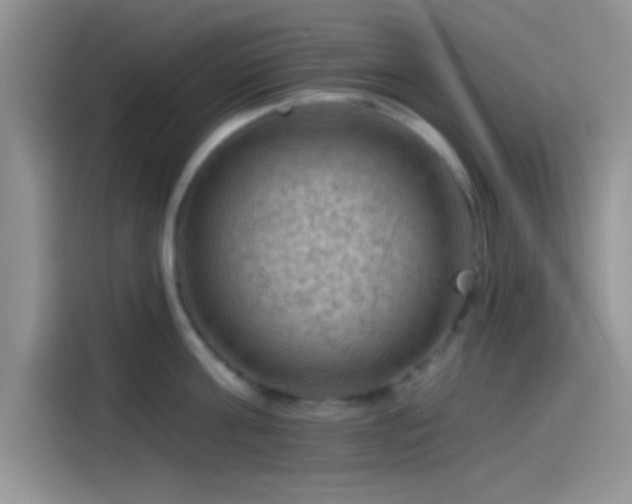 X0000115490811200911131234