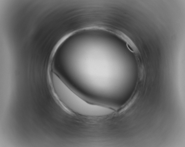 X0000115490812200911131234