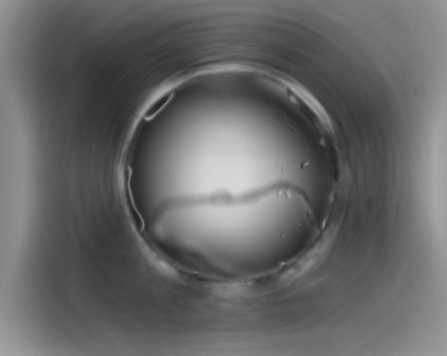 X0000115490813200911131234