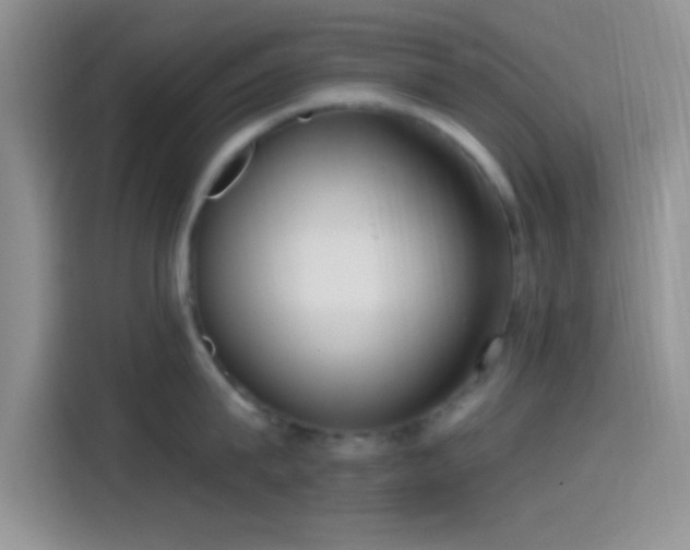 X0000115490815200911131234