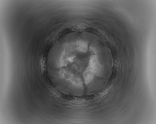 X0000115490818200911131233
