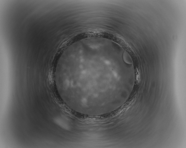 X0000115490819200911131233
