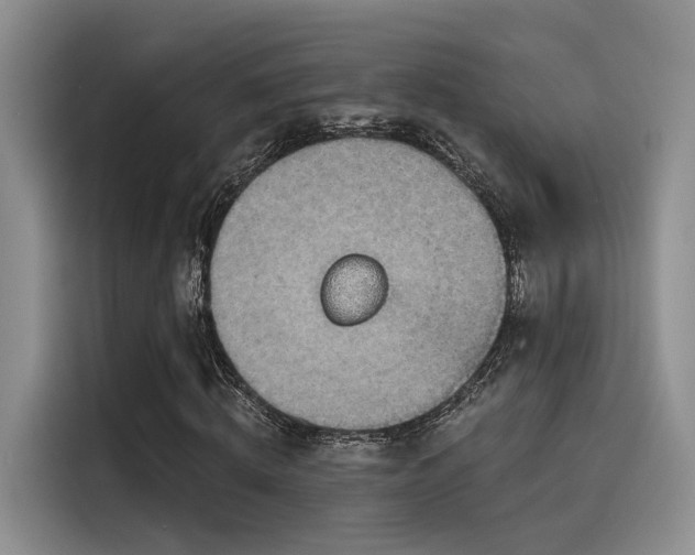 X0000115490820200911131233