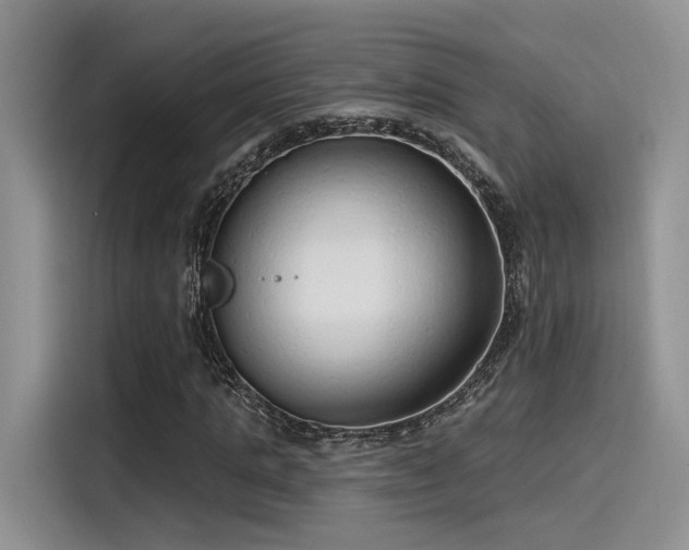 X0000115490821200911131233