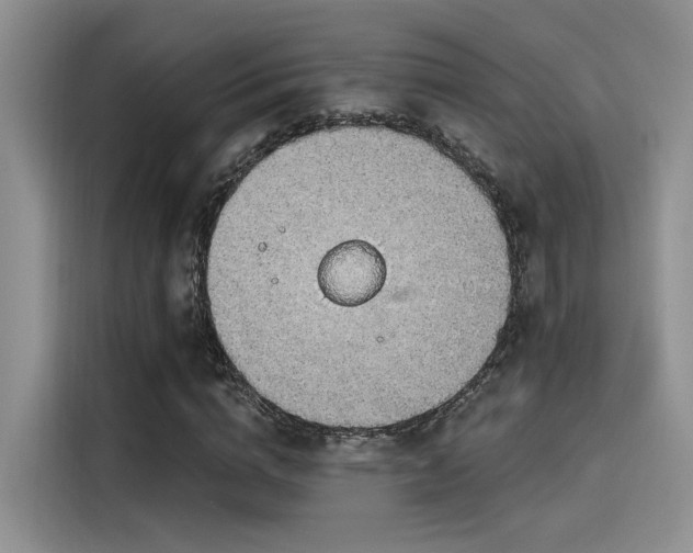 X0000115490824200911131234