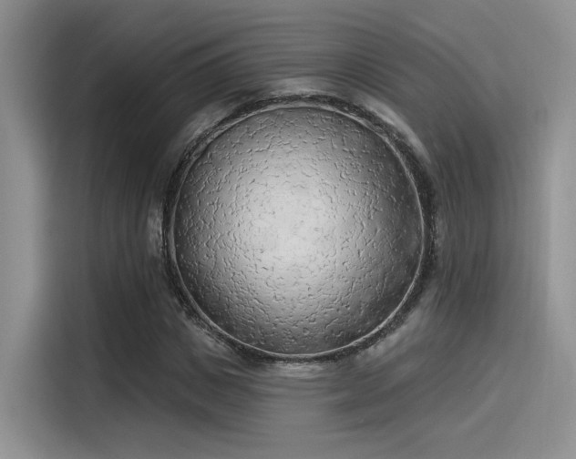 X0000115490825200911131234