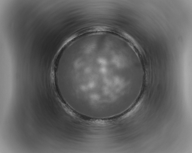 X0000115490827200911131234