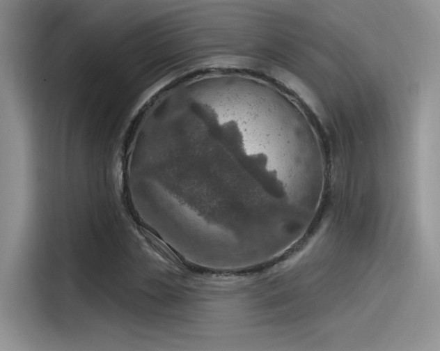 X0000115490829200911131234