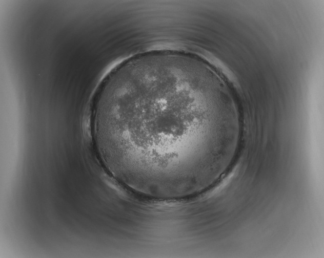X0000115490830200911131234
