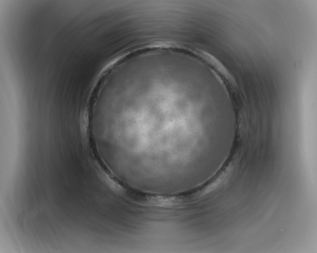 X0000115490831200911131234