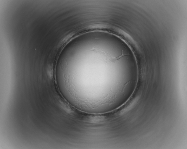 X0000115490833200911131234