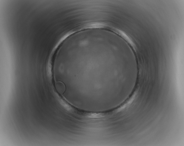 X0000115490835200911131234