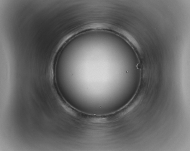 X0000115490837200911131234