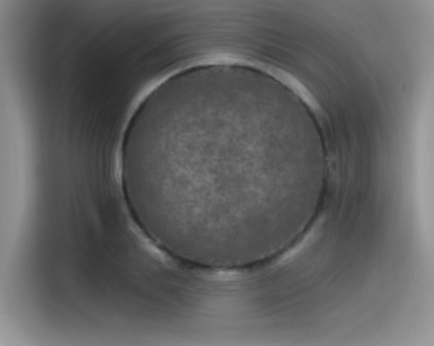 X0000115490839200911131234
