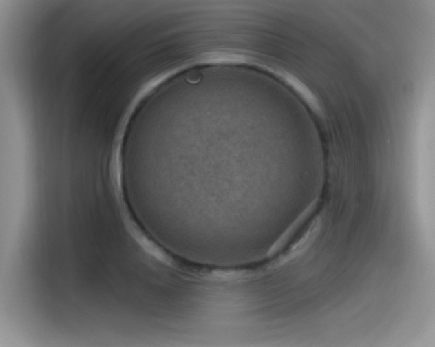 X0000115490840200911131234