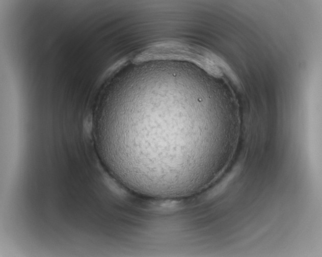 X0000115490841200911131234