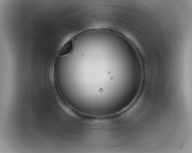 X0000115490842200911131234