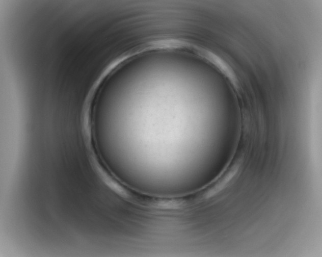 X0000115490843200911131234
