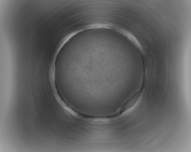 X0000115490844200911131234