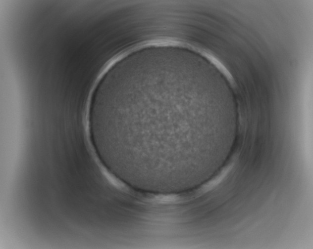 X0000115490845200911131234