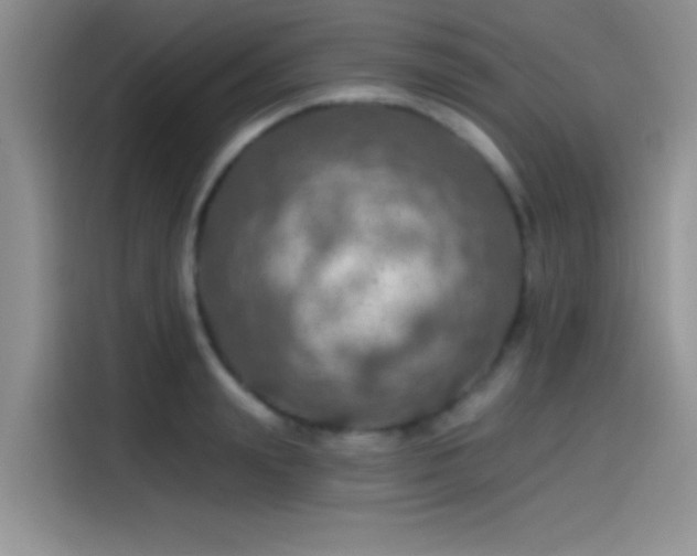 X0000115490847200911131234