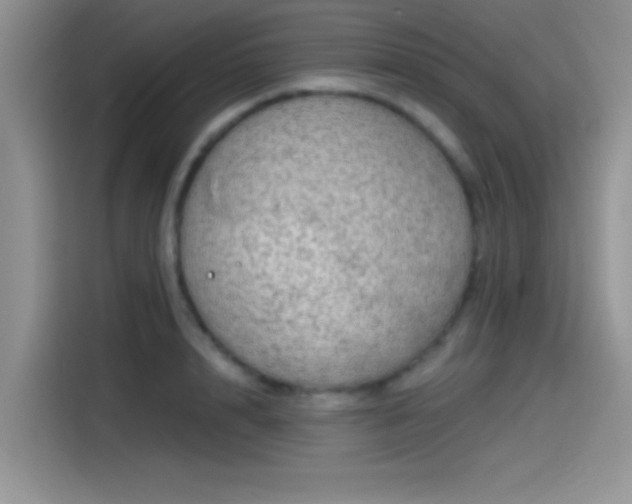 X0000115490848200911131234
