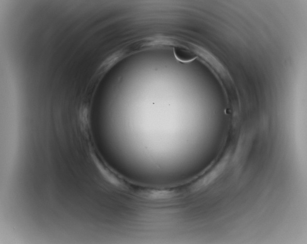 X0000115490849200911131234