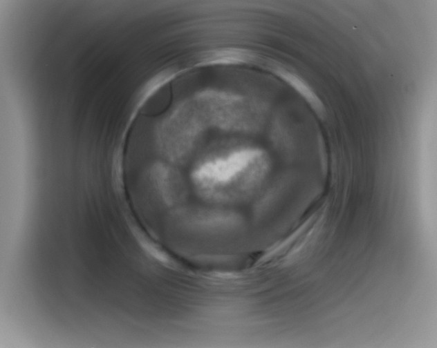 X0000115490850200911131234