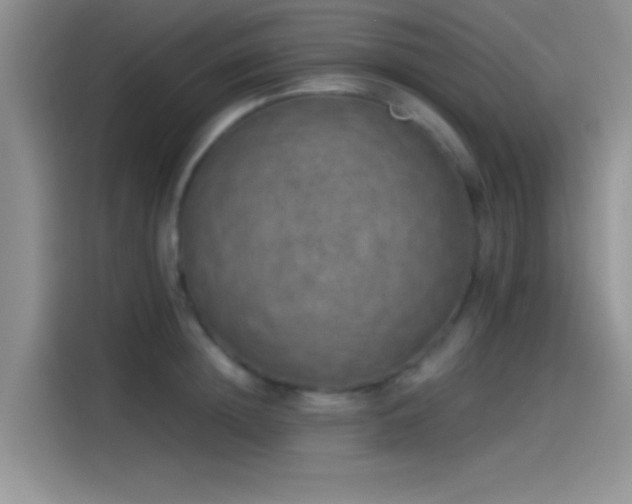 X0000115490852200911131234