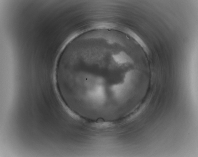 X0000115490853200911131234