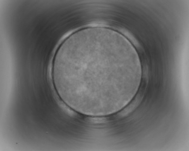 X0000115490856200911131234