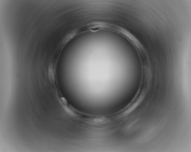 X0000115490857200911131234