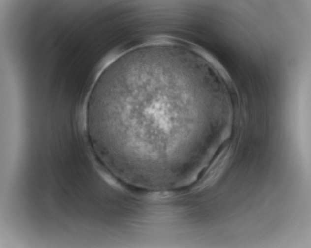 X0000115490858200911131234