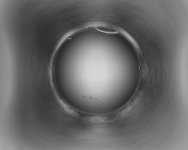 X0000115490861200911131234