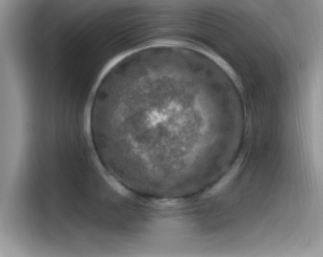 X0000115490862200911131234