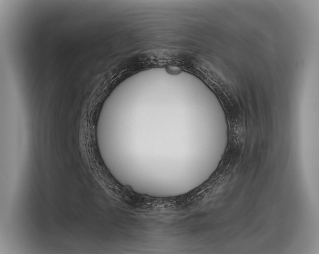 X0000115490865200911131233